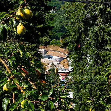 La * Tuzla